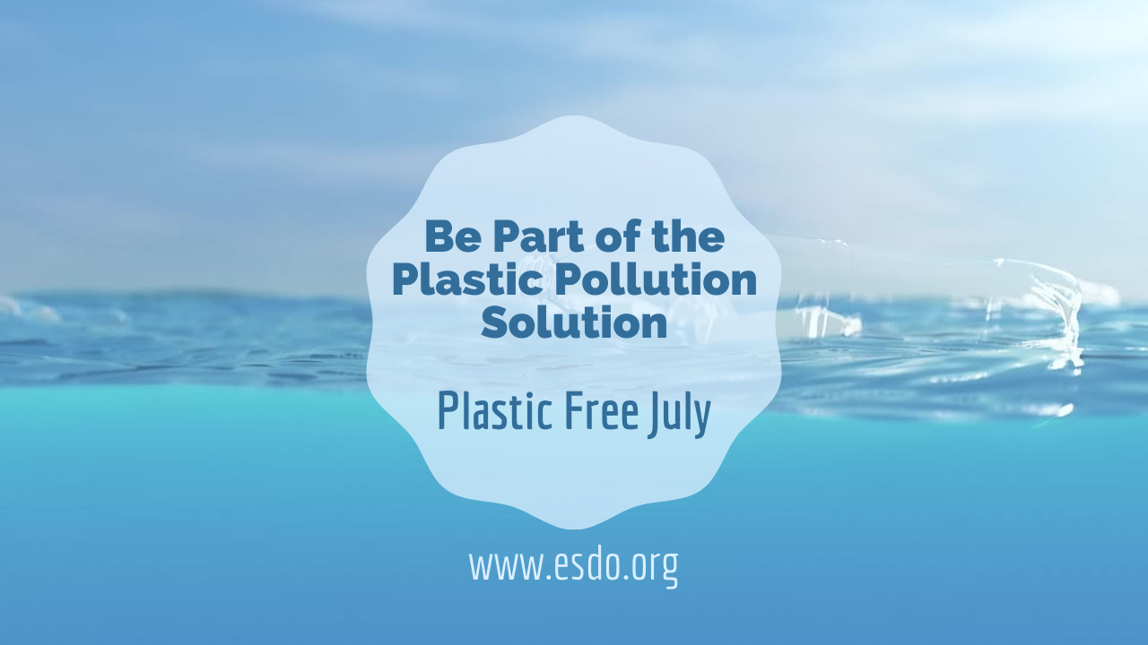 plastic free July esdo