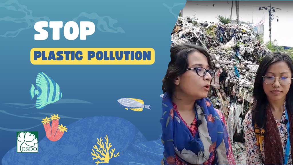 plastic pollution crisis ESDO