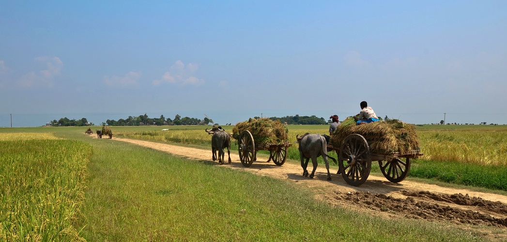 Report on Mercury Hot-spots in Bangladesh