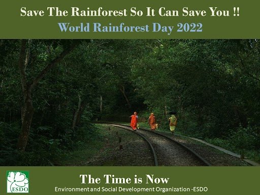 World Rainforest Day 2022