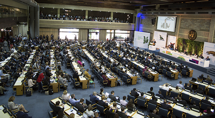 ESDO’s participation in the UNEA3