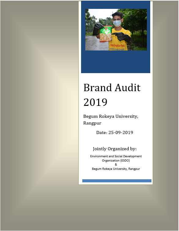 Brand Audit Report 2019