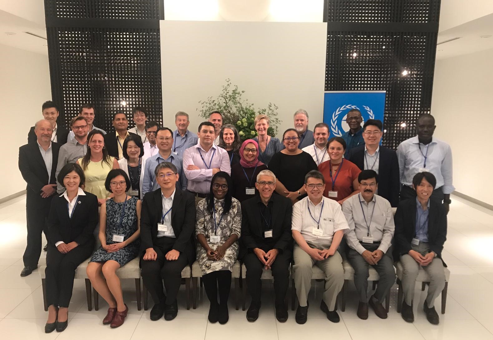 Team of Minamata mercury waste experts at UNEP, Osaka, Japan May 27,2019