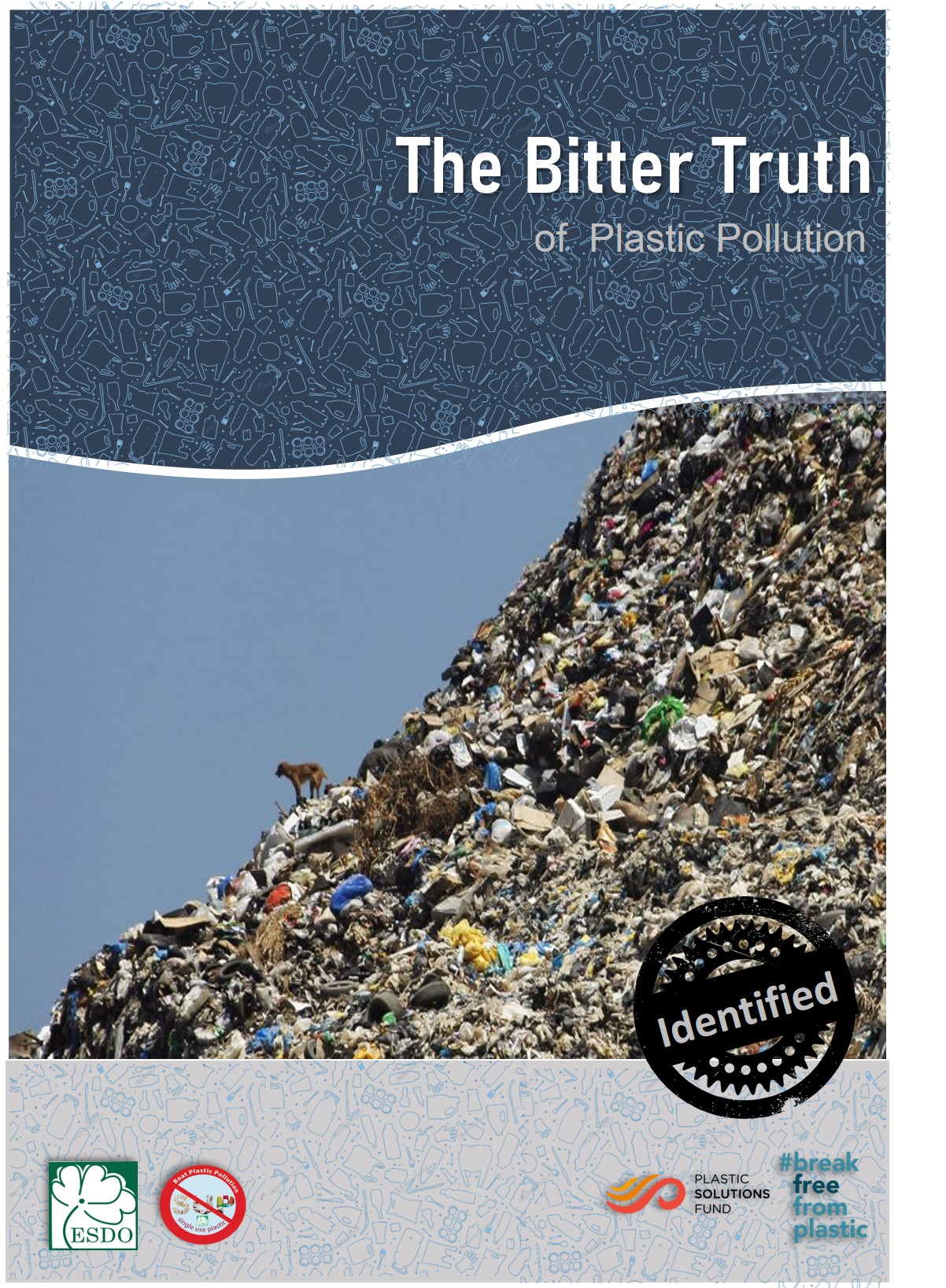 The Bitter Truth of Plastic Pollution (Brand Audit 2021)