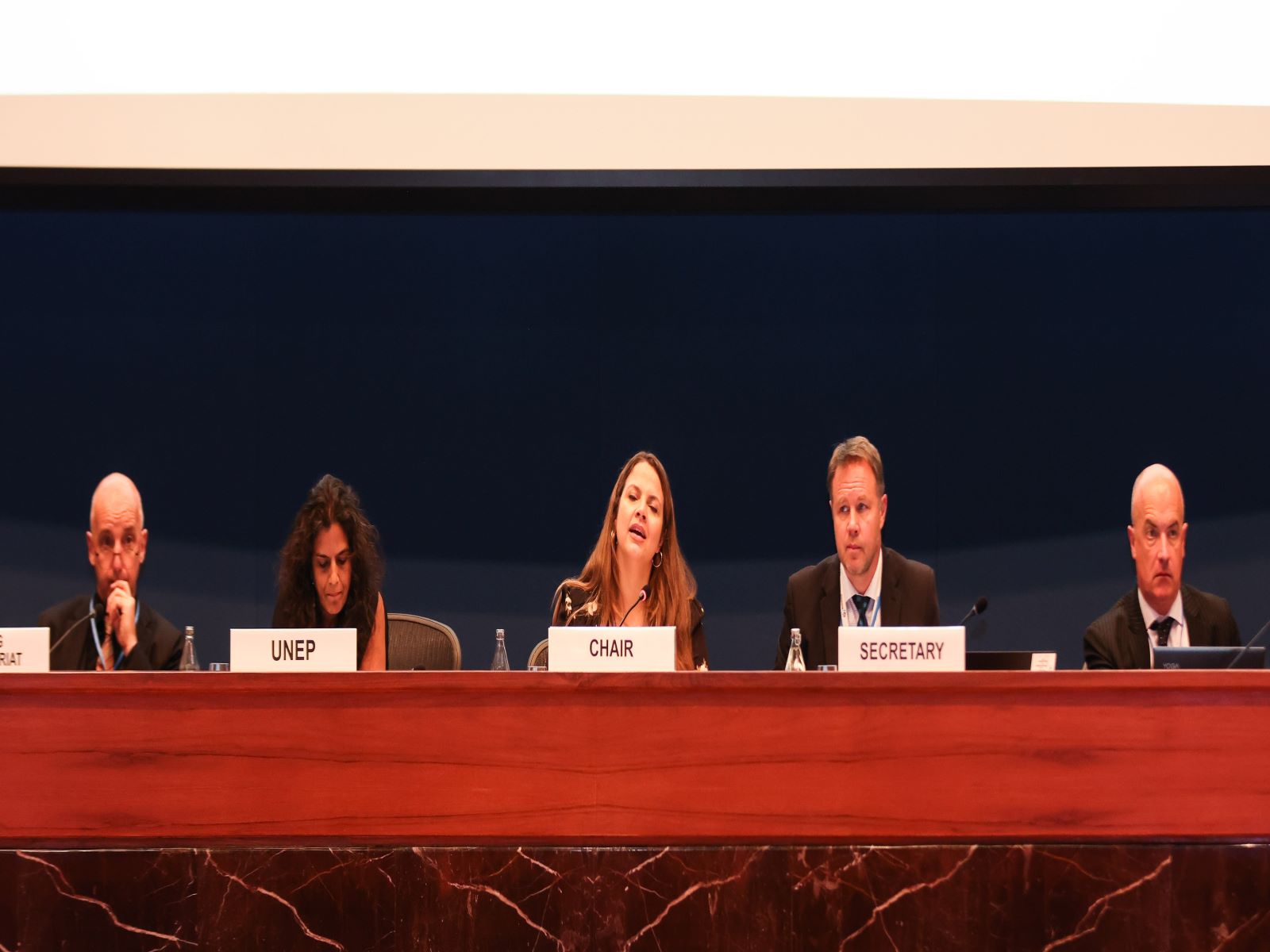 Read more about the article OEWG1-2: Science-Policy Panel to Contribute Further to the Sound Management of Chemicals and Waste and to Prevent Pollution