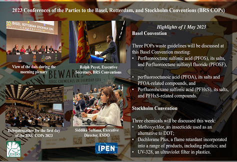 Read more about the article 2023 Conferences of the Parties to the Basel, Rotterdam, and Stockholm Conventions (BRS COPs)