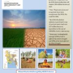 World Day to Combat Desertification and Drought – 2020