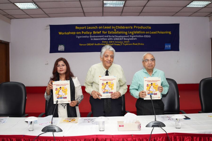 Report Launch on Lead in Children’s Products