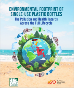 Environmental Footprint of Plastic Pollution