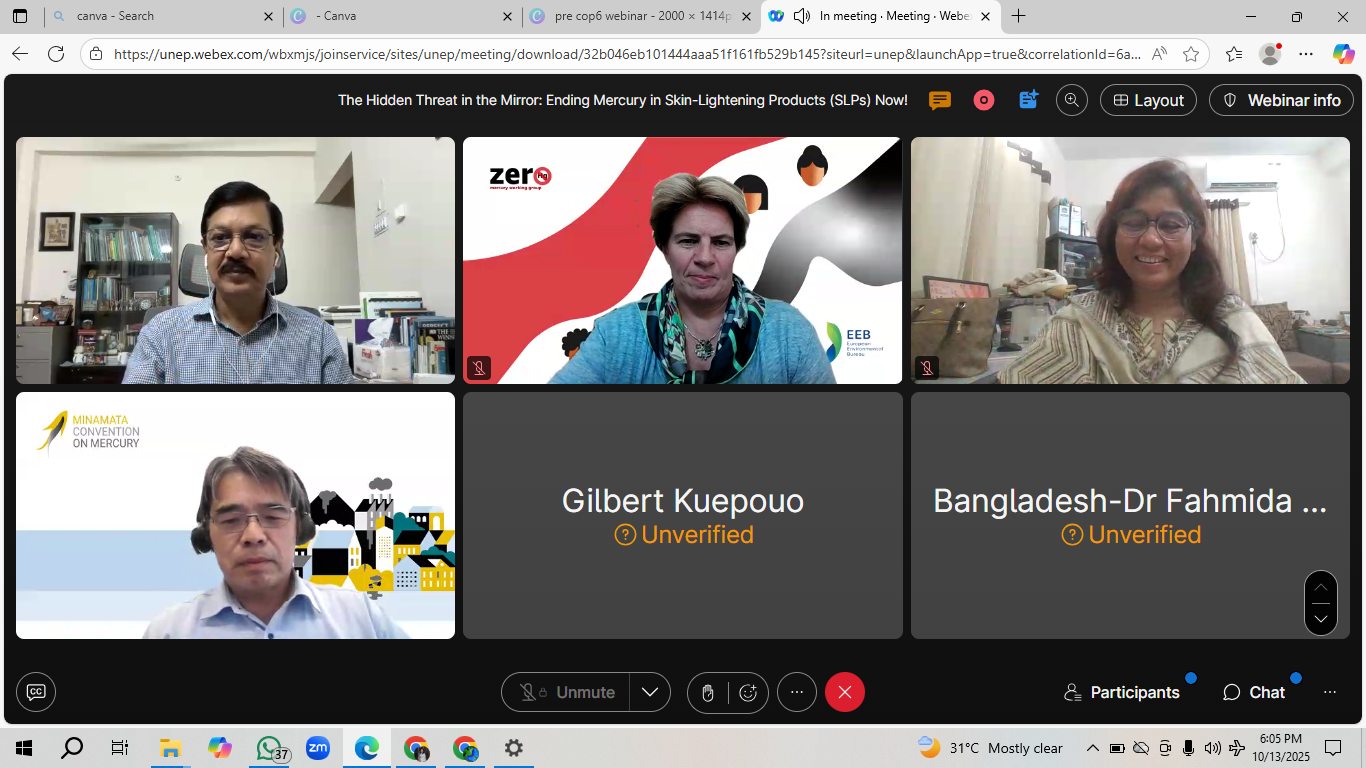 You are currently viewing Webinar on “Hidden Threat on the Mirror: Ending Mercury in Skin-lightening Products (SLPs) Now!